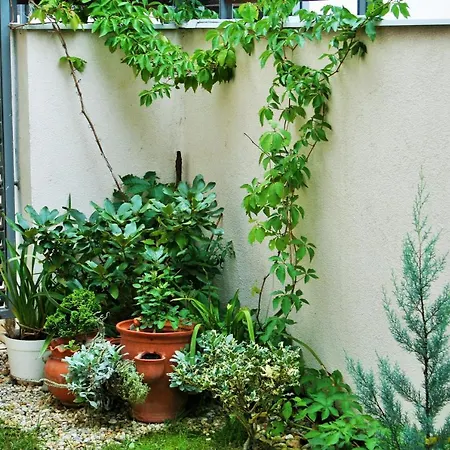 Madarhegy With Garden Buda Side Apartmán