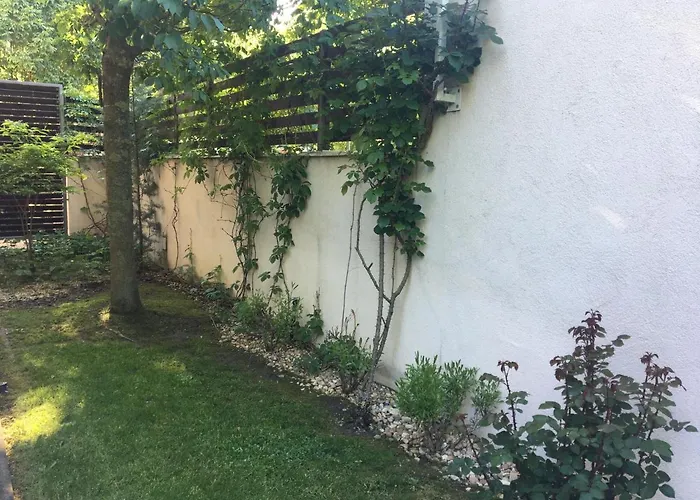 Madarhegy With Garden Buda Side