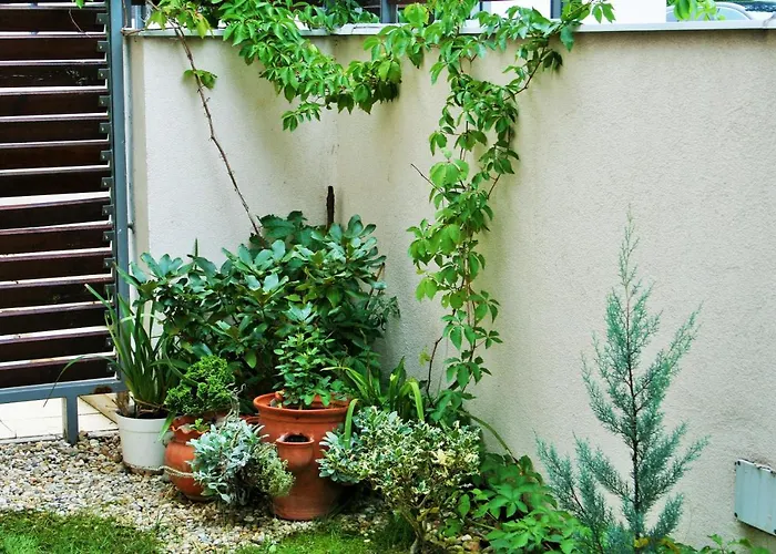 Madarhegy With Garden Buda Side Apartmán